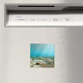 Aimant d'épave d'expédition en bouteille (In Situ (Lave-vaisselle))
