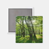 Aimant Der Wald im Frühling (Recto/Verso)
