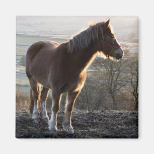 Aimant Derbyshire, Angleterre