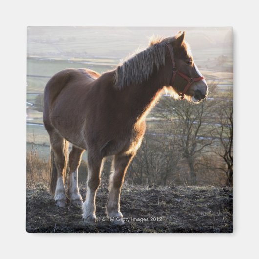 Aimant Derbyshire, Angleterre (Devant)