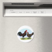 Aimant Derbyshire Redcap Fowl (In Situ (Lave-vaisselle))