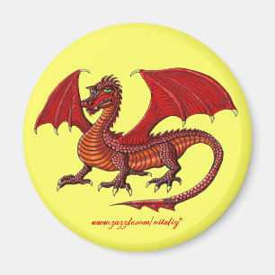 Aimant Dernière conception d'aimant de dragon