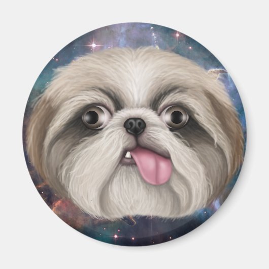 Aimant Derpy Shih Tzu (Devant)