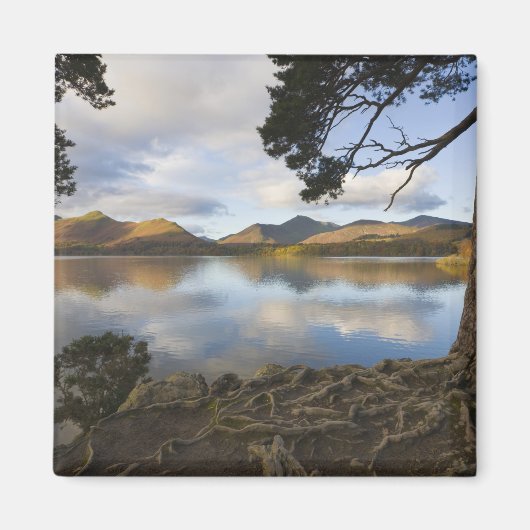 Aimant Derwentwater, district des lacs, Cumbria, Angleter (Devant)