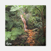 Aimant des Açores - Caldeira Velha (Devant)