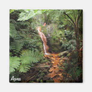 Aimant des Açores - Caldeira Velha