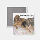 Aimant Des amis pour la vie. (Recto/Verso)