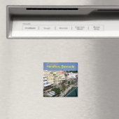 Aimant des bermudes de Hamilton (In Situ (Lave-vaisselle))