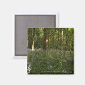 Aimant Des Cellules Bleues Dans Une Forêt (Recto/Verso)