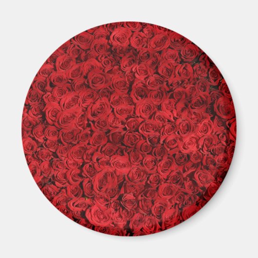 Aimant Des centaines de belles roses rouges (Devant)