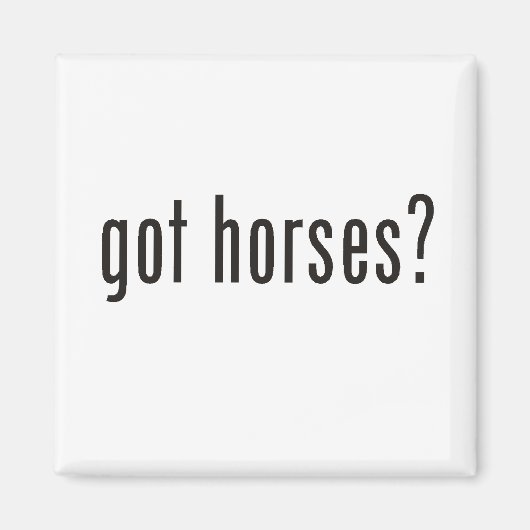 Aimant des chevaux ? (Devant)