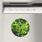 Aimant Des feuilles verts de printemps frais. photographi (In Situ (Lave-vaisselle))