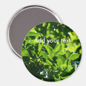 Aimant Des feuilles verts de printemps frais. photographi (Recto/Verso)