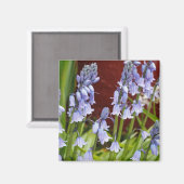 Aimant Des fleurs de Bellflowers devant un mur rouge (Recto/Verso)