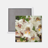 Aimant des fleurs d'haricots indiens (Recto/Verso)