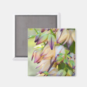 aimant des fleurs yucca (Recto/Verso)