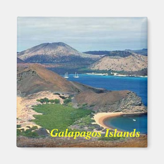 Aimant des îles Galapagos (Devant)