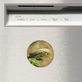 Aimant des larves de Sawfly (In Situ (Lave-vaisselle))