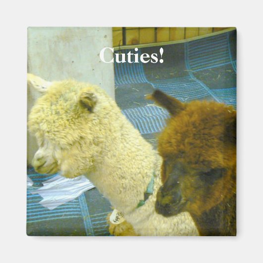 Aimant Des mecs ! (Devant)