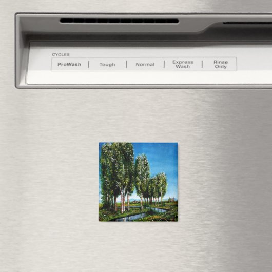 AIMANT DES OISEAUX EN TOSCANE (In Situ (Lave-vaisselle))