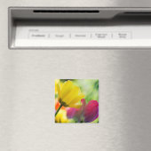 Aimant des tulipes (In Situ (Lave-vaisselle))