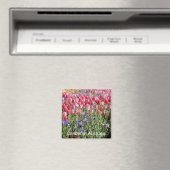 Aimant des tulipes Canberra (In Situ (Lave-vaisselle))