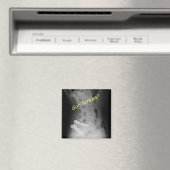 Aimant des vis (In Situ (Lave-vaisselle))