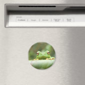Aimant des yeux de grenouille (In Situ (Lave-vaisselle))