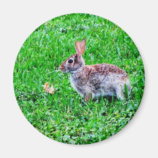 Aimant des yeux innocent (Devant)