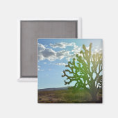 Aimant Desert beauty (Recto/Verso)