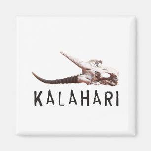 Aimant Désert de Kalahari en Afrique : Crâne mort