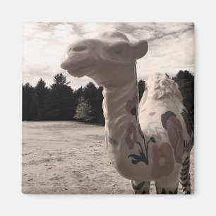 Aimant désert de maine