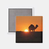 Aimant Désert tunisien, chameau au coucher du soleil (Recto/Verso)