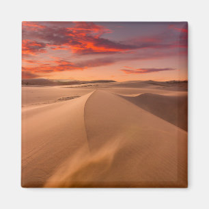 Aimant Deserts Desert United Arab Emirates