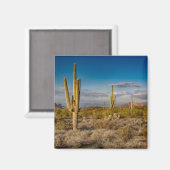 Aimant Deserts | Superstition Mountains, Arizona (Recto/Verso)