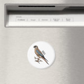 Aimant dessin animé d'oiseau-kestrel américain (In Situ (Lave-vaisselle))