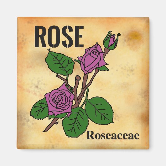 Aimant Dessin au trait de rose rose dans le style de papi (Devant)