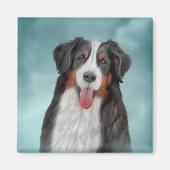 Aimant Dessin Bernese Mountain Dog 21 (Devant)