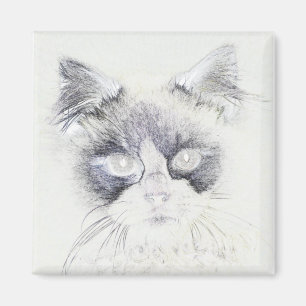 Aimant Dessin crayon de chat