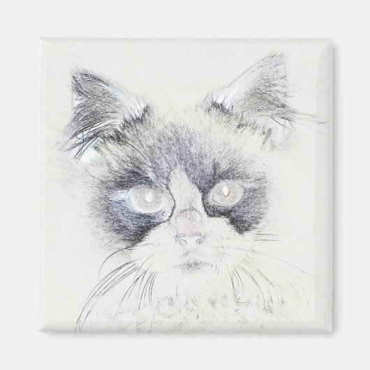 Aimant Dessin crayon de chat (Devant)