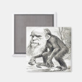 Aimant Dessin De Charles Darwin 1871 (Recto/Verso)