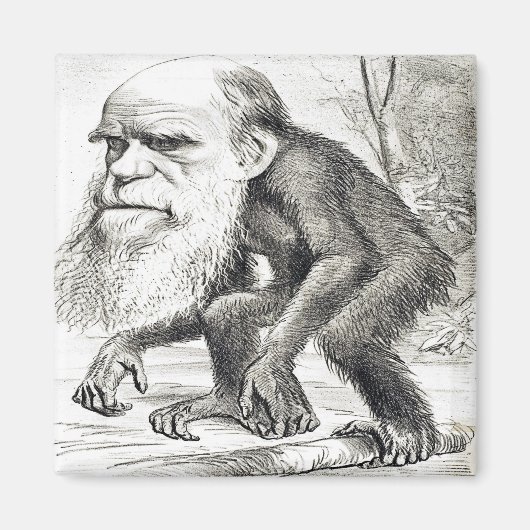 Aimant Dessin De Charles Darwin 1871 (Devant)