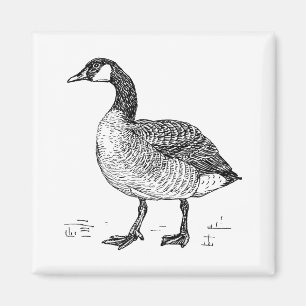 Aimant Dessin de la nature de l'oie canadienne