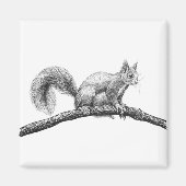 Aimant Dessin d'écureuil (Devant)