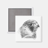 Aimant Dessin du faucon du bandeau (Recto/Verso)