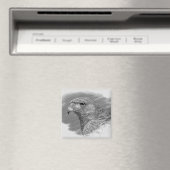 Aimant Dessin Harris Hawk (In Situ (Lave-vaisselle))