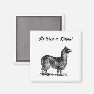 Aimant Dessin humoristique de lama à l'encre, animal mign