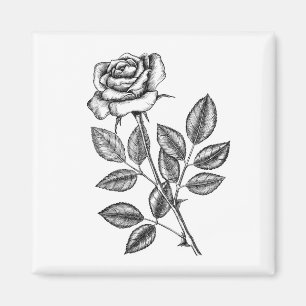 Aimant dessin rose 2