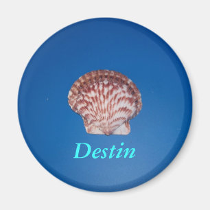 Aimant Destin, la Floride