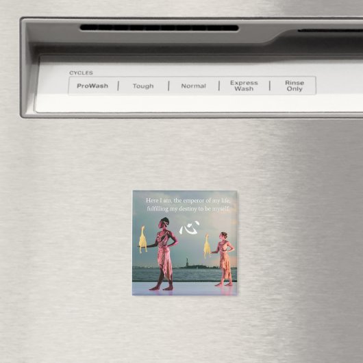 Aimant Destiny Poulets (In Situ (Lave-vaisselle))